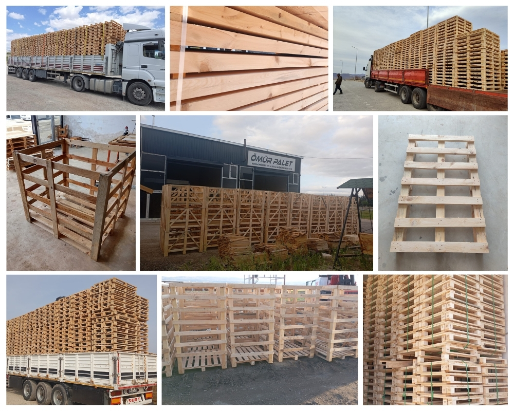 Den Hoorn Houten Kisten, Europallets Groothandel Kopen